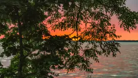 Wiosenny mix ujęć, kwiecień - czerwiec 2022 r. - zdjęcie 52