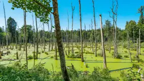 Wiosenny mix ujęć, kwiecień - czerwiec 2022 r. - zdjęcie 40