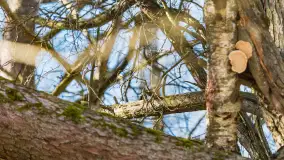 Trochę wiosny, trochę zimy... - zdjęcie 18