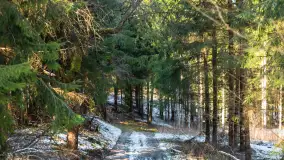 Trochę wiosny, trochę zimy... - zdjęcie 4