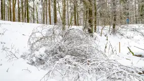 Niezdecydowana zima w lesie miejskim w Giżycku - zdjęcie 33