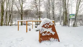 Niezdecydowana zima w lesie miejskim w Giżycku - zdjęcie 18