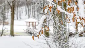 Niezdecydowana zima w lesie miejskim w Giżycku - zdjęcie 36