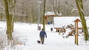 Niezdecydowana zima w lesie miejskim w Giżycku - zdjęcie 5