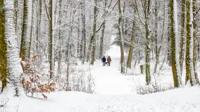 Niezdecydowana zima w lesie miejskim w Giżycku - zdjęcie 31