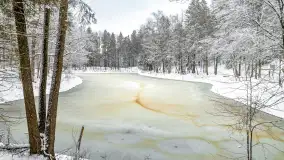 Niezdecydowana zima w lesie miejskim w Giżycku - zdjęcie 3
