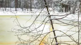 Niezdecydowana zima w lesie miejskim w Giżycku - zdjęcie 15