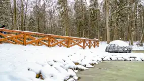 Niezdecydowana zima w lesie miejskim w Giżycku - zdjęcie 6