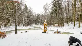 Niezdecydowana zima w lesie miejskim w Giżycku - zdjęcie 40