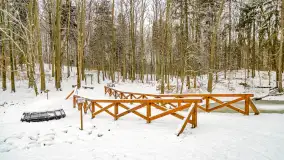 Niezdecydowana zima w lesie miejskim w Giżycku - zdjęcie 16