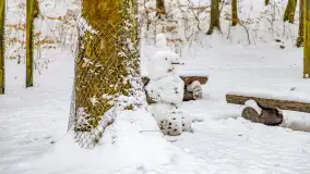 Niezdecydowana zima w lesie miejskim w Giżycku - zdjęcie 10