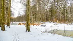 Niezdecydowana zima w lesie miejskim w Giżycku - zdjęcie 19