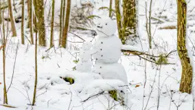 Niezdecydowana zima w lesie miejskim w Giżycku - zdjęcie 24