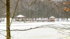 Niezdecydowana zima w lesie miejskim w Giżycku - zdjęcie 38