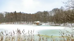 Niezdecydowana zima w lesie miejskim w Giżycku - zdjęcie 14