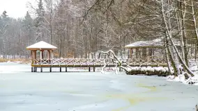 Niezdecydowana zima w lesie miejskim w Giżycku - zdjęcie 35