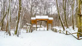 Niezdecydowana zima w lesie miejskim w Giżycku - zdjęcie 13