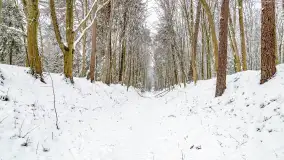 Niezdecydowana zima w lesie miejskim w Giżycku - zdjęcie 25