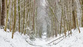 Niezdecydowana zima w lesie miejskim w Giżycku - zdjęcie 17
