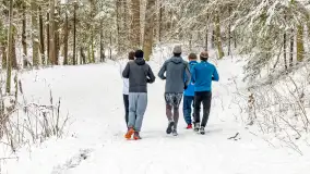 Niezdecydowana zima w lesie miejskim w Giżycku - zdjęcie 29