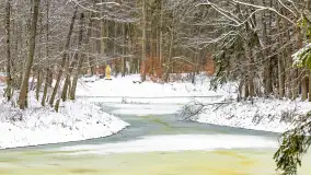 Niezdecydowana zima w lesie miejskim w Giżycku - zdjęcie 20