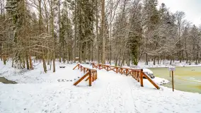 Niezdecydowana zima w lesie miejskim w Giżycku - zdjęcie 28