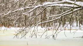 Niezdecydowana zima w lesie miejskim w Giżycku - zdjęcie 39