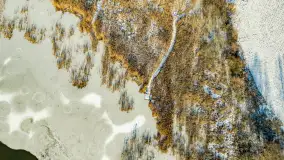 Rzeka Dajna i okolice, luty 2023 - zdjęcie 37