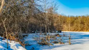 Rzeka Dajna i okolice, luty 2023 - zdjęcie 26