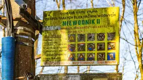 Rzeka Dajna i okolice, luty 2023 - zdjęcie 49