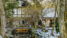 Rzeka Dajna i okolice, luty 2023 - zdjęcie 85