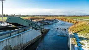 Rzeka Dajna i okolice, luty 2023 - zdjęcie 68