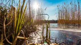 Zatoka Mrówcza, jezioro Ryńskie, luty 2023 - zdjęcie 29