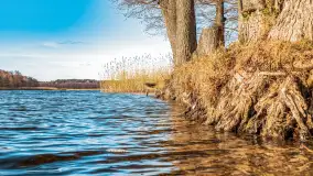 Zatoka Mrówcza, jezioro Ryńskie, luty 2023 - zdjęcie 18