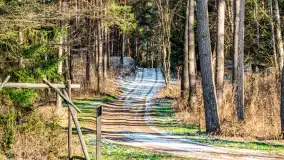 Zatoka Mrówcza, jezioro Ryńskie, luty 2023 - zdjęcie 34