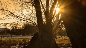 Zachód słońca w okolicy rzeki Guber, luty 2023 - zdjęcie 17