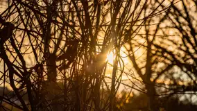 Zachód słońca w okolicy rzeki Guber, luty 2023 - zdjęcie 20