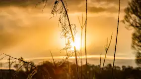 Zachód słońca w okolicy rzeki Guber, luty 2023 - zdjęcie 7