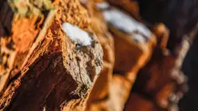 Zachód słońca w okolicy rzeki Guber, luty 2023 - zdjęcie 4