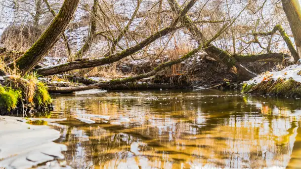 Spacer po lesie kętrzyńskim, górka poznańska i rzeka Guber