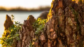 Zachód słońca nad jeziorem Ryńskim - zdjęcie 17