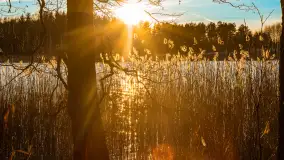 Zachód słońca nad jeziorem Ryńskim - zdjęcie 19