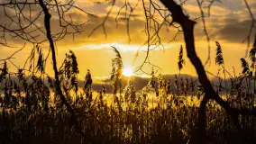 Zachód słońca nad jeziorem Mój, luty 2023 r. - zdjęcie 19