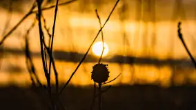 Zachód słońca nad jeziorem Mój, luty 2023 r. - zdjęcie 16