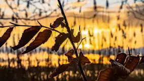 Zachód słońca nad jeziorem Mój, luty 2023 r. - zdjęcie 30