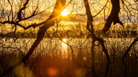 Zachód słońca nad jeziorem Mój, luty 2023 r. - zdjęcie 35