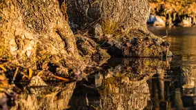 Kolejny zachód nad jeziorem Ryńskim, luty 2023 - zdjęcie 15