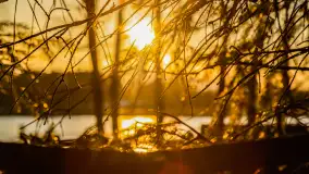 Kolejny zachód nad jeziorem Ryńskim, luty 2023 - zdjęcie 16