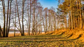 Kolejny zachód nad jeziorem Ryńskim, luty 2023 - zdjęcie 10