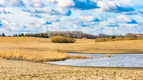 Wiosenne zbiorowiska ptaków, luty 2023 r. - zdjęcie 20